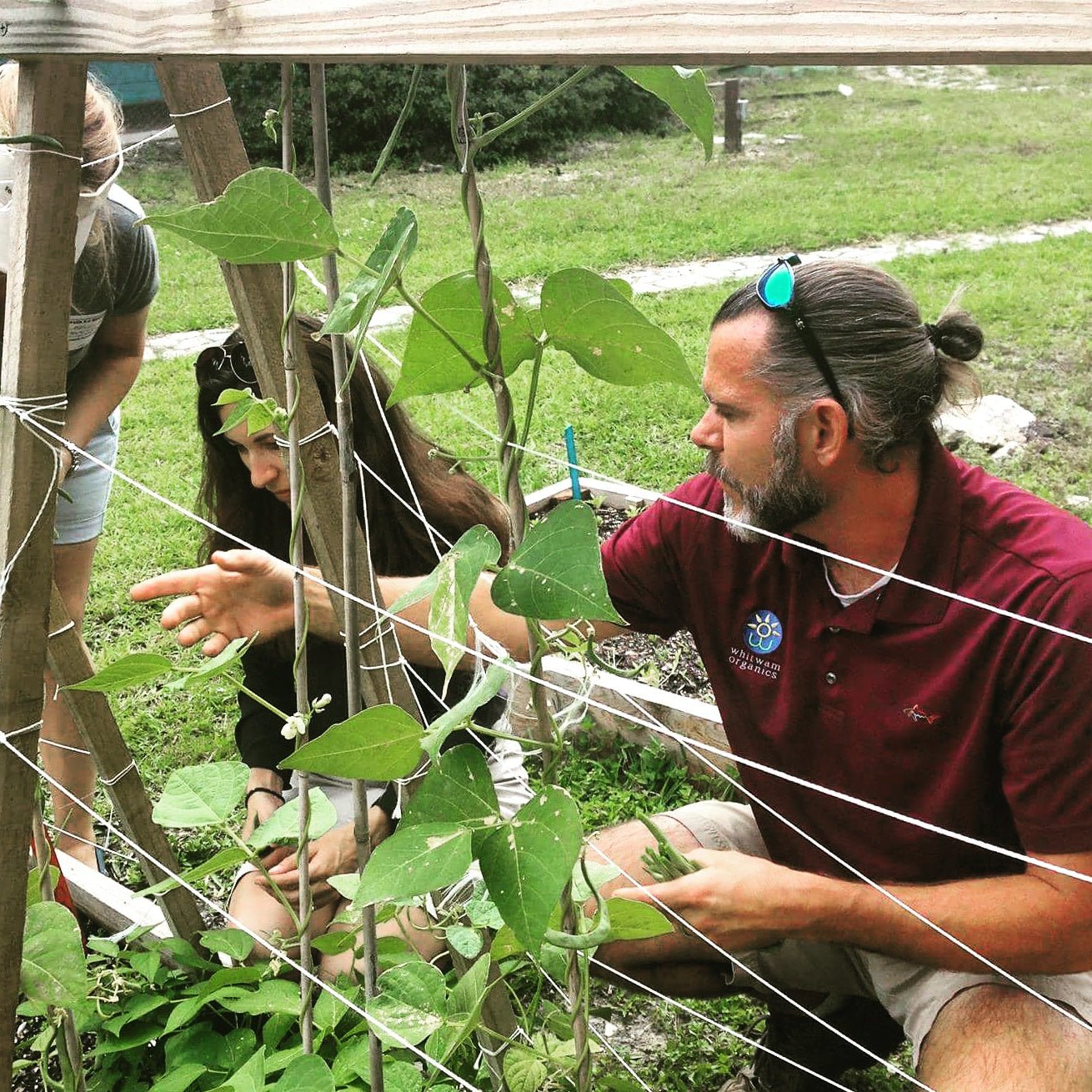 Consultation or Education (Residential only) - Whitwam Organics