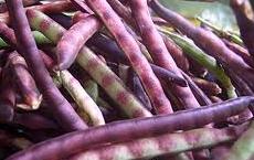 Cowpea - Pinkeye Purple Hull - Whitwam Organics