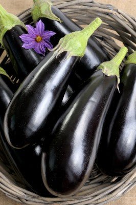 Eggplant - Florida Market (Florida Heirloom) - Whitwam Organics