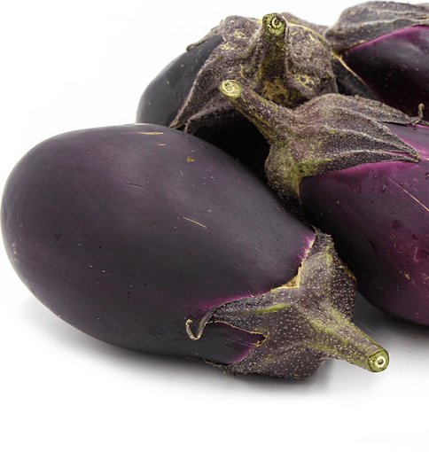Eggplant - Mizuno Takumi Japanese - Whitwam Organics