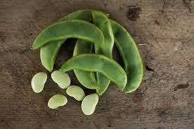 Lima Bean - King of the Garden - Whitwam Organics