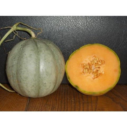 Melon - Hakucho Charentais Cantaloupe - Whitwam Organics