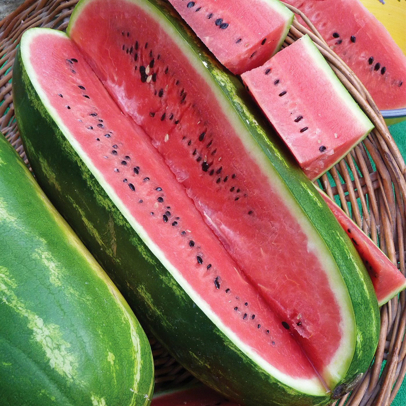 Melon - Jubilee Watermelon (Florida heirloom) - Whitwam Organics