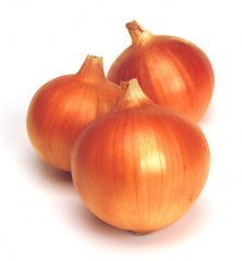 Onion - Superex Onion (Short Day) - Whitwam Organics