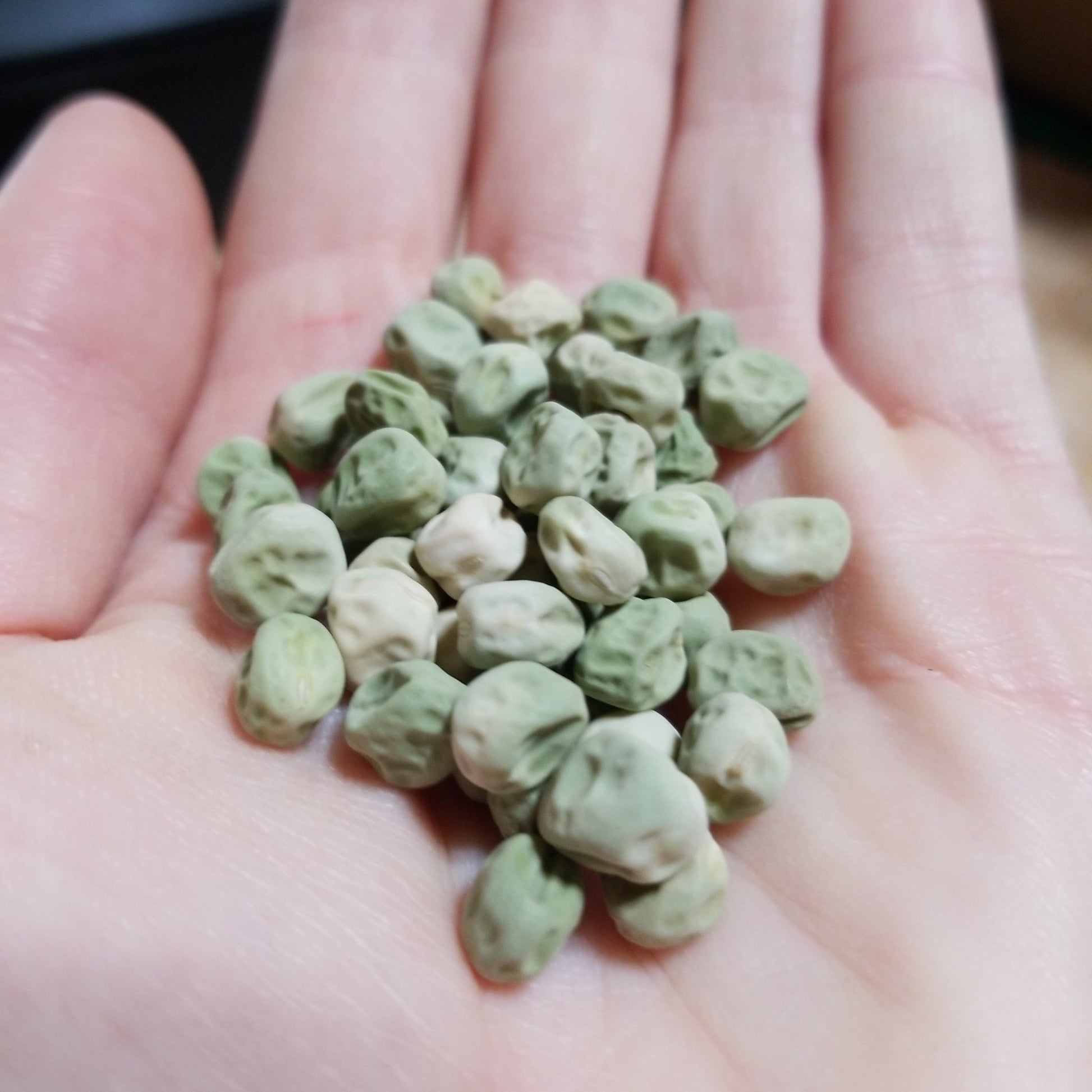 Pea - Green Arrow English Pea - Whitwam Organics