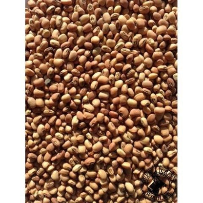 Pea - Southern Seminole Pea - Whitwam Organics