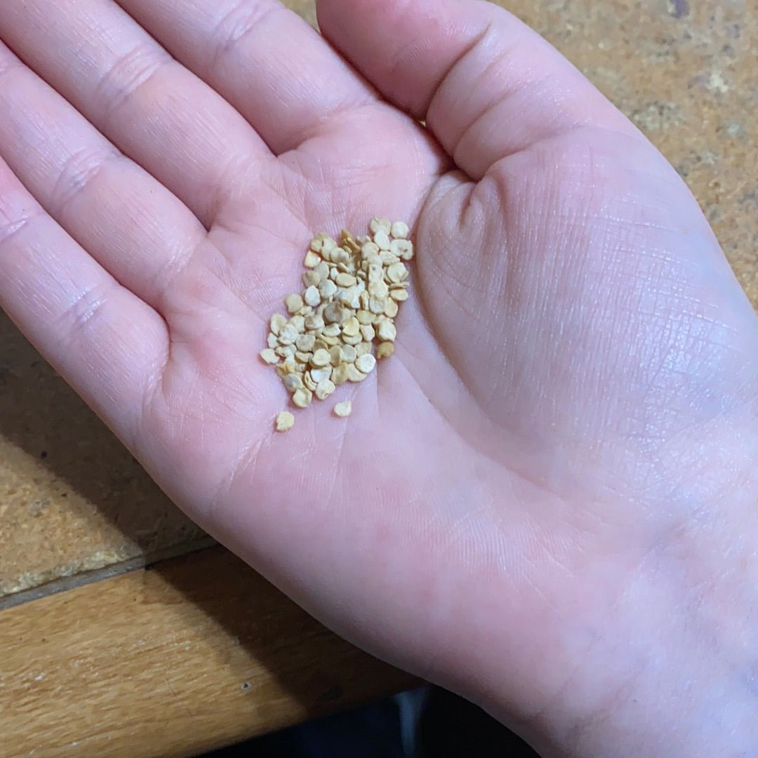 Pepper - Bird’s Eye Chiltepin - Whitwam Organics