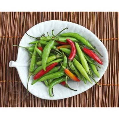 Pepper - Thai Bird - Whitwam Organics