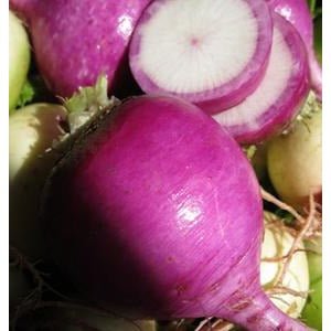 Radish - Karaine Daikon - Whitwam Organics
