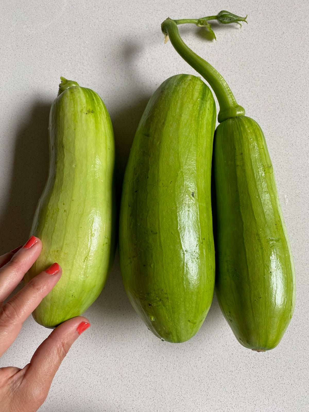 Squash - Aehobak Korean - Whitwam Organics