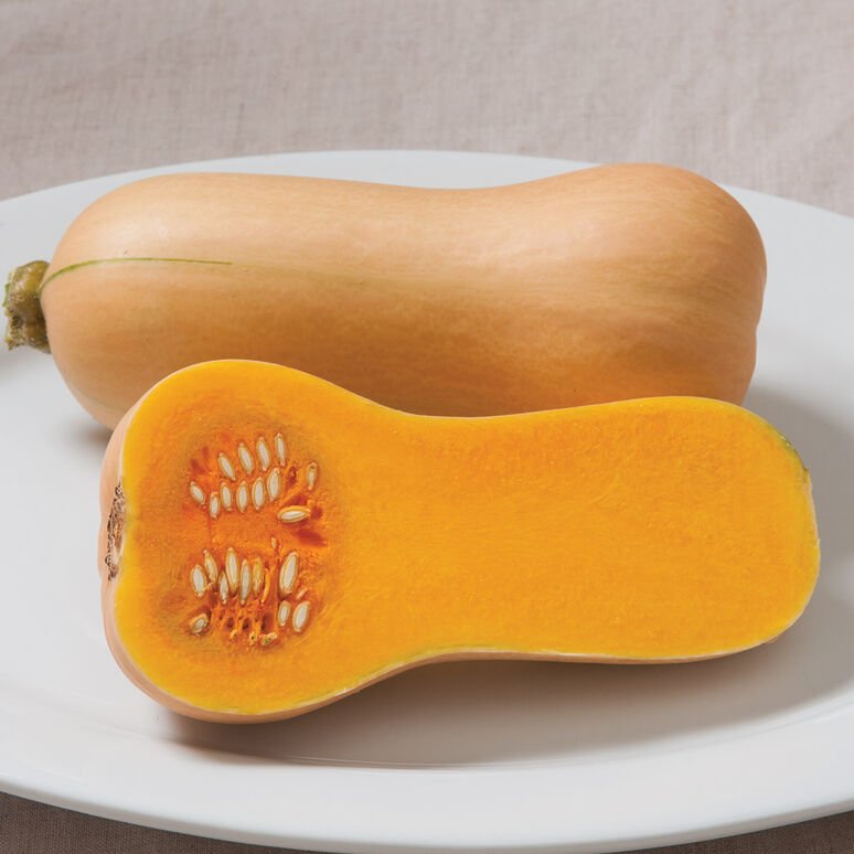 Squash - Butterscotch PMR Butternut - Whitwam Organics