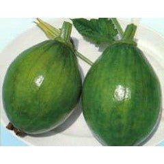 Squash - Teot Bat Put Avocado - Whitwam Organics