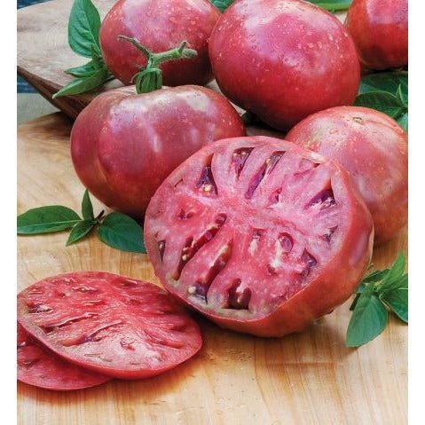 Tomato - Cherokee Purple (Heirloom) - Whitwam Organics