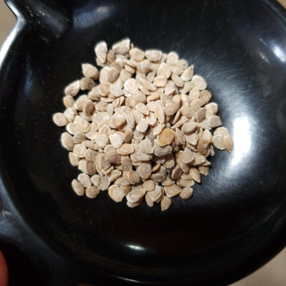 Tomato - Floridade (Determinate) (Florida heirloom) - Whitwam Organics