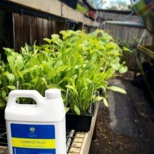 Whitwam Organics Brand - Liquid Fertilizer - Compost Plus - Whitwam Organics
